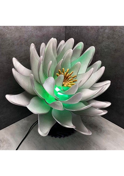 Büyük Lotus Lambası fırsatları