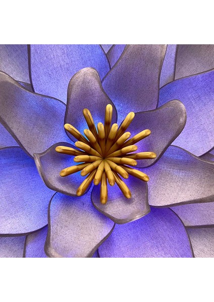 Büyük Lotus Lambası indirimleri