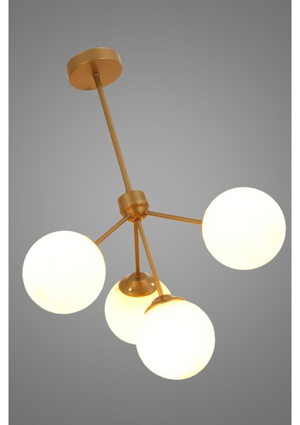 Lupin 4 Lü Eskitme Avize Beyaz Camlı Dekoratif Tasarım Yatak Odası Mutfak Salon Avize modelleri