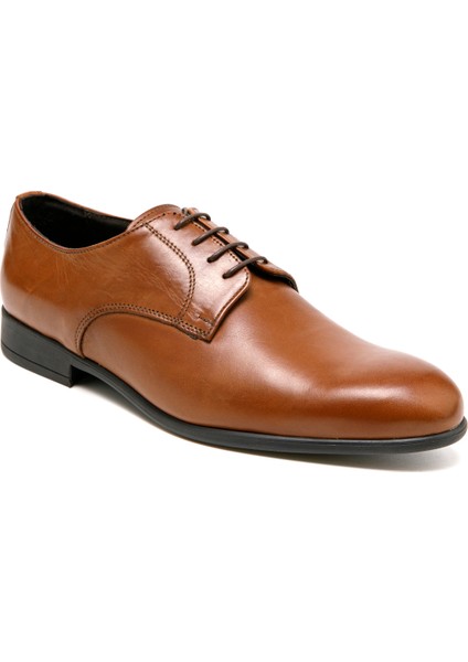 Erkek Oxford ( Klasik) 5601711 Uug Igı&co 56017-VIT Crust Mogano