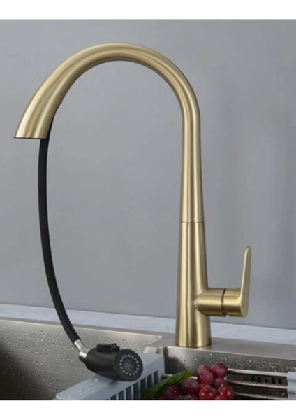 Gizli Spiralli Mutfak Evye Bataryası Mat-Gold fiyatları