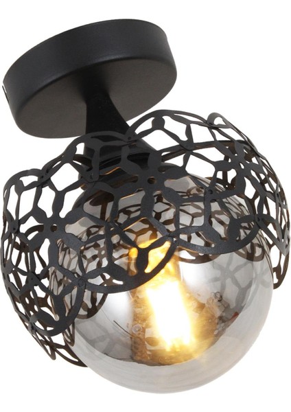 Alonso Tekli Siyah Avize Füme Cam Dekoratif Tasarım Modern Yatak Odası Salon Hol Mutfak Avize modelleri