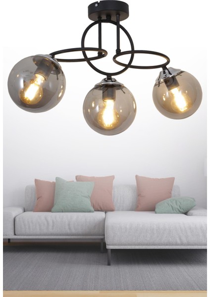 Sisam 3 Li Siyah Krom Avize-Füme Camlı Dekoratif Tasarım Yatak Odası Mutfak Salon Avize fiyatları