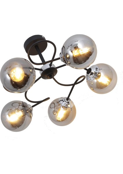 Renas 5 Li Siyah Avize-Füme Camlı Dekoratif Tasarım Yatak Odası Mutfak Salon Avize modelleri