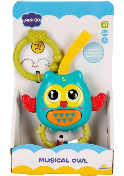 Müzikli ve Işıklı Çıngıraklı Baykuş Puset Oyuncağı fırsatları