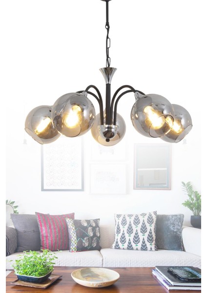 Girne 5 Li Siyah Avize-Füme Camlı Dekoratif Tasarım Yatak Odası Mutfak Salon Avize