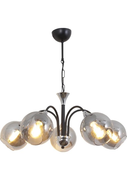 Girne 5 Li Siyah Avize-Füme Camlı Dekoratif Tasarım Yatak Odası Mutfak Salon Avize fırsatları