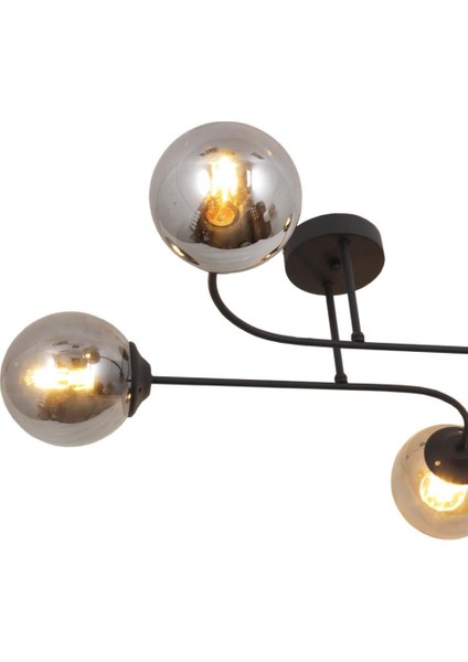 Capri 4 Lü Siyah Avize Füme Camlı Dekoratif Tasarım Yatak Odası Mutfak Salon Avize fırsatları