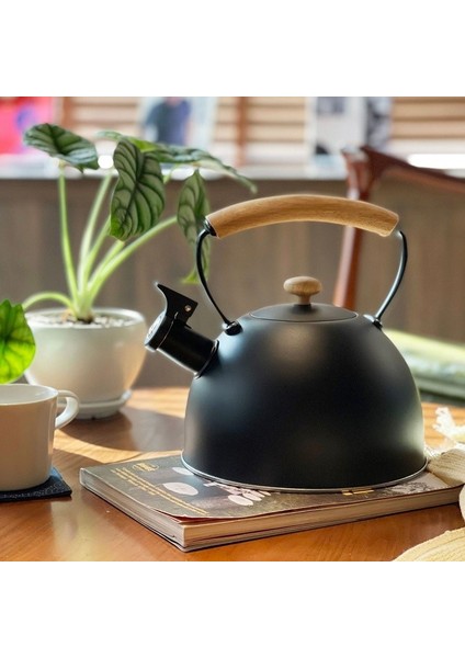 Islık Su Isıtıcısı 3l Ahşap Saplı Avrupa Islık Su Isıtıcısı (Yurt Dışından) modelleri