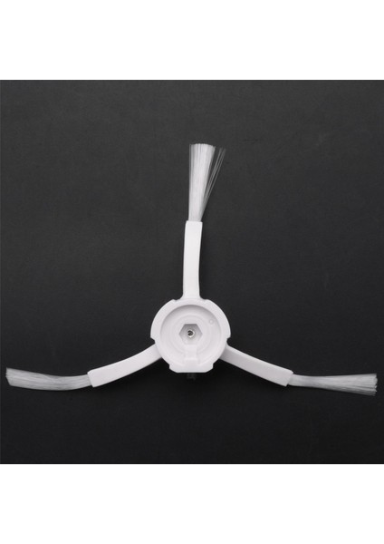 45CM Insan Omurgası ve Pelvik Insan Anatomisi Omurga Modeli (Yurt Dışından)