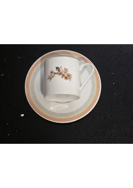 Pink Flower Porselen Kahve Takımı 2 Kişilik 80 cc modelleri