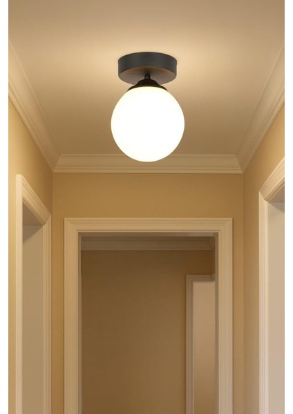 Mine Tekli Siyah Plafonyer Mutfak Koridor Avize Beyaz Camlı fiyatları