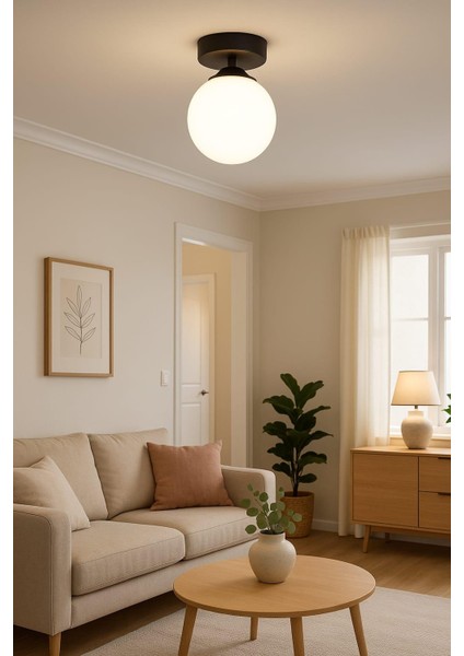 Mine Tekli Siyah Plafonyer Mutfak Koridor Avize Beyaz Camlı fırsatları