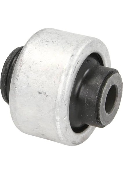 FBI21850 - Salıncak Burcu - Febı