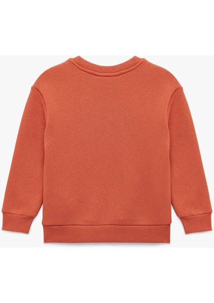 Aslan Baskılı Uzun Kollu Bisiklet Yaka Sweatshirt fiyatları