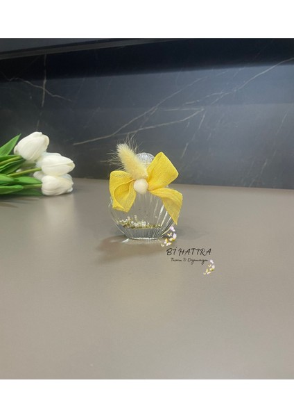 Istiridye Şişe Deniz Yıldızı Kolonya (10 Adet)