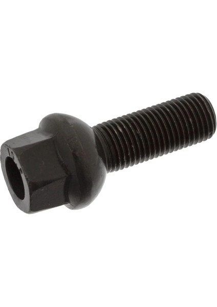 FBI46623 - Bıjon - Febı