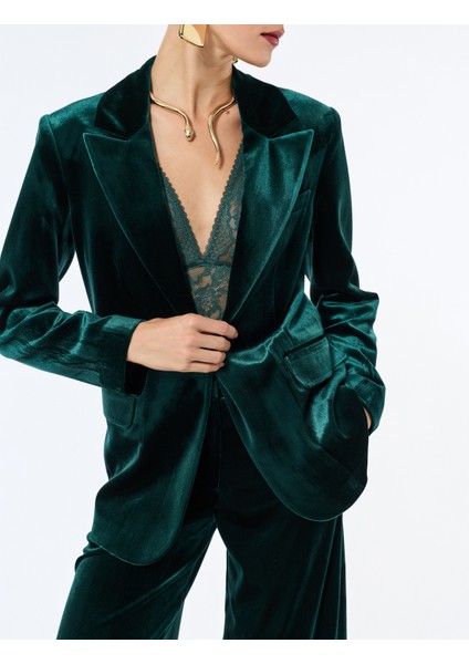 Uzun Kollu Düğmeli Cepli Kadife Blazer Ceket indirimleri