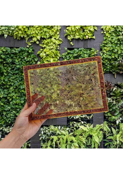 3x Reçine Kalıp Silikon Epoksi Reçine Için Büyük Dikdörtgen Haddeleme Tepsisi Kalıpları Reçine Servis Kenarlı Kalıp Kalıp (Yurt Dışından) indirimleri