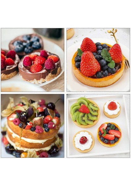 8cmtart Halka Paslanmaz Çelik Tartlet Kalıp Daire Kesici Pasta Halkası Isıya Dayanıklı Delikli Kek Köpük Kalıpları Tart Pasta (Yurt Dışından) fiyatları