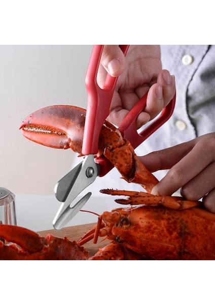 Yengeç Kraker ve Istakoz Kraker Araçları Kral Yengeç Bacakları Yengeç Bacakları Istakoz ve Istakoz Pençeleri Için Uygun Deniz Ürünleri Aletleri (Yurt Dışından) fiyatları