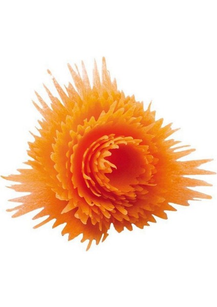 2x Çok Fonksiyonlu Salatalık Havuç Külotu Keskinleştirici Spiral Grater Soyucu Dilimleyici Grater Sebze Planer Mutfak Yardımcısı (Yurt Dışından) indirimleri