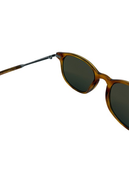 WE5277 053 Mineral Cam Unisex Güneş Gözlüğü indirimleri