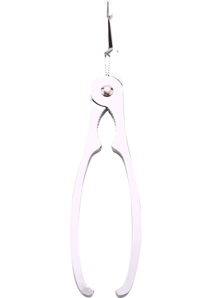 2x Deniz Ürünleri Kraker Set Seti 2 Pcs Yengeç Istakoz Çatalı Için Paslanmaz Çelik Yararlı Zincirler Ev Mutfak Yemek Aracı Gadgets (Yurt Dışından) fırsatları