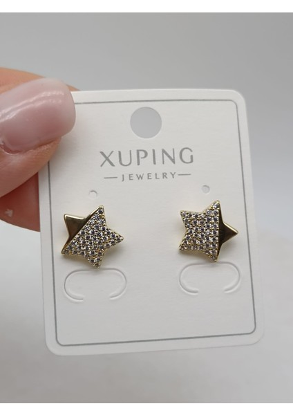 Xupıng Küpe Gold fiyatları
