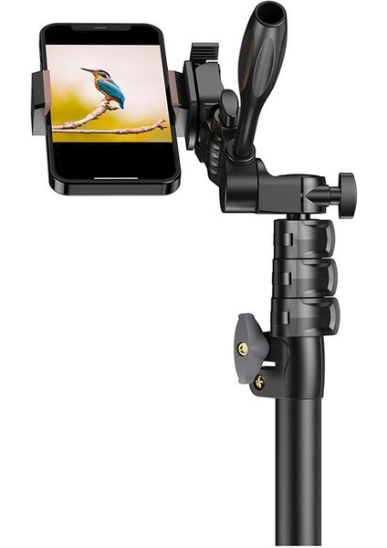 Apexel Kablosuz Canlı Yayın Selfie Stick Tripod Stand Kameralar Için Kameralar Için Taşınabilir Monopod Akıllı Telefonlar (Yurt Dışından) modelleri