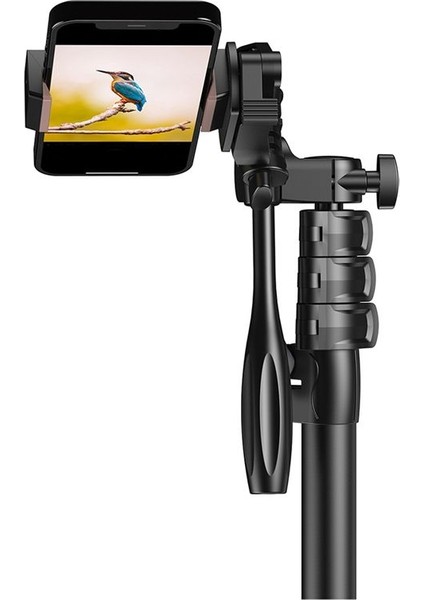 Apexel Kablosuz Canlı Yayın Selfie Stick Tripod Stand Kameralar Için Kameralar Için Taşınabilir Monopod Akıllı Telefonlar (Yurt Dışından) fırsatları