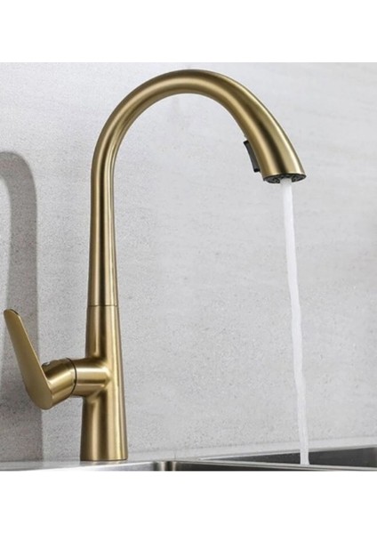 Gizli Spiralli Mutfak Evye Bataryası Gold