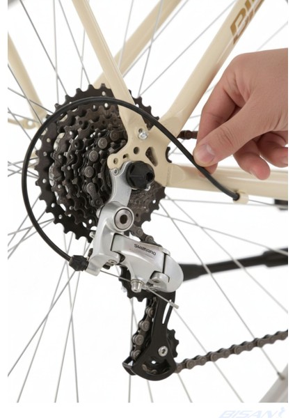 Sorrento-S Şehir Bisikleti 44 cm V 26 Jant 7 Vites Krem Gold