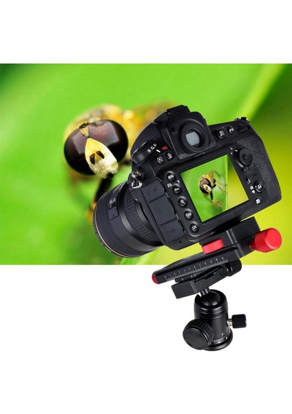 2x Tüm Metal Wormdrive Makro Raylı Odaklama Odaklama Arca / Rrs Kol Kelepçesi Uyumlu (Yurt Dışından) indirimleri