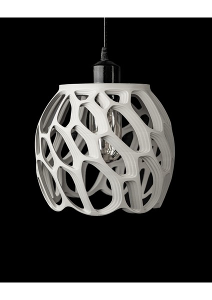 Modern Machıne'den Ringo Sarkıt