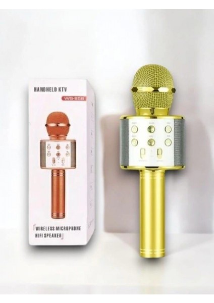 Kareoke Mıkrofon fiyatları