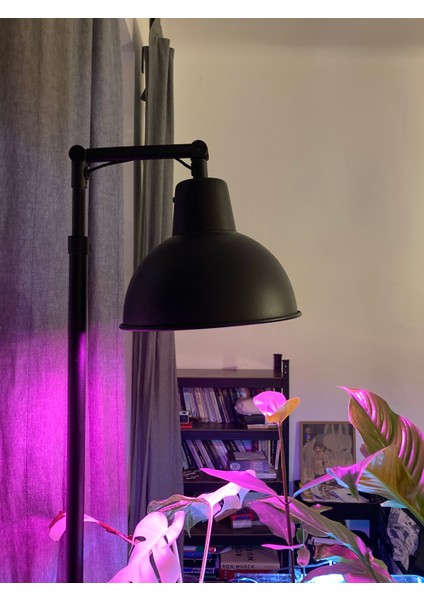 Ikea Lamba Uzatması fiyatları