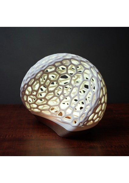 Sünger Lamba fiyatları