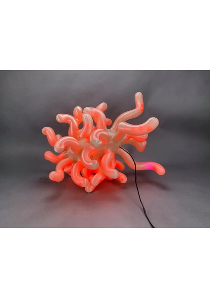 E. Coli LED Lamba fiyatları