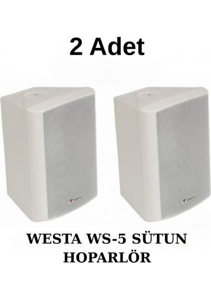 Ws-5 Tw 13 cm Trafolu Plastik Kabin Hoparlör – Beyaz, 125 W (2 Adet)