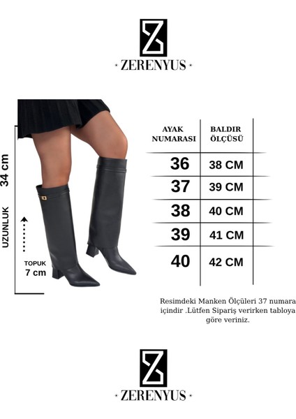 Jike Tak Çıkar Sivri Burun Topuklu Çizme Siyah