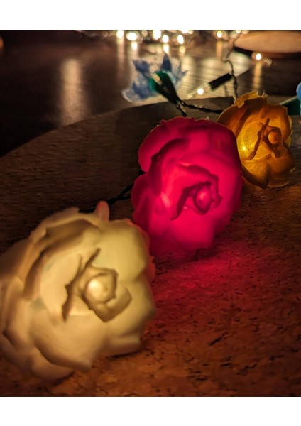 Gül Işıkları - Peri Işık Kapaklarında Klips modelleri