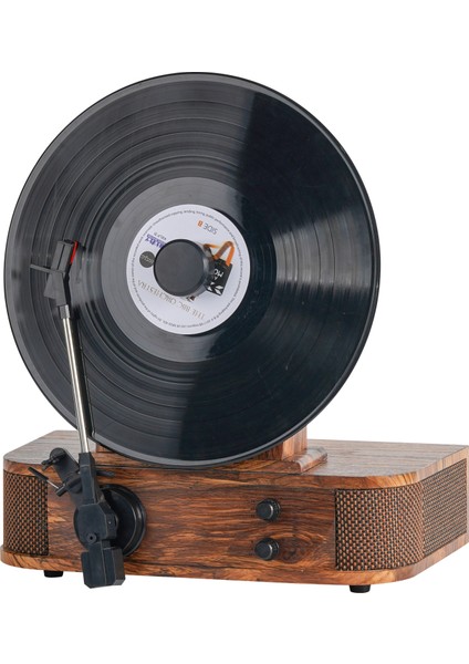 W286B Vip Dikey Pikap - (Bluetooth, Dahili Hoparlör ve Metal İğne)