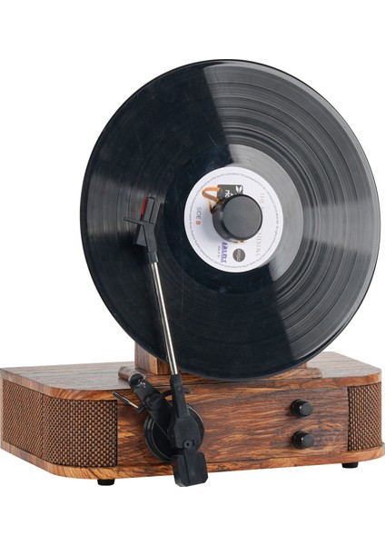 W286B Vip Dikey Pikap - (Bluetooth, Dahili Hoparlör ve Metal İğne) fiyatları