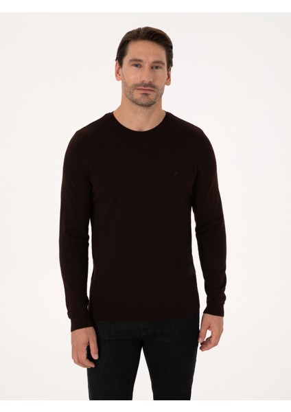 Erkek Kahverengi Regular Fit Basic Kazak 50318901-VR029