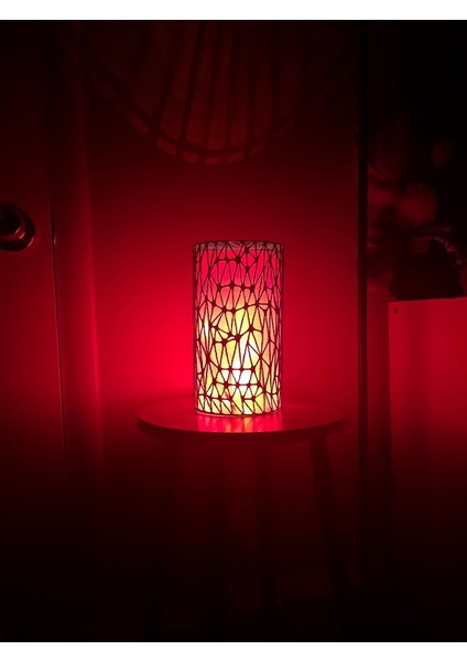 Soyut Vazo Veya Abajur.stl fiyatları