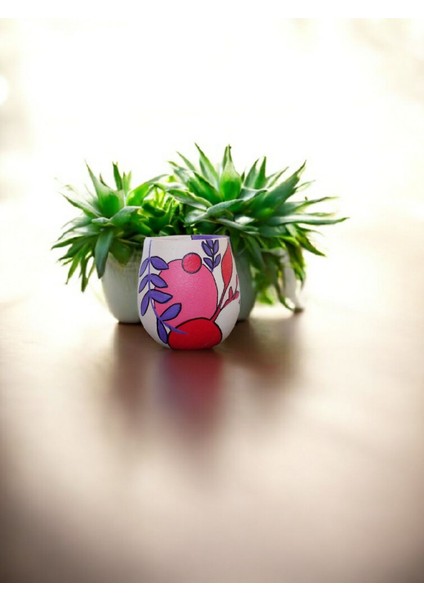 Seramik Saksı fırsatları