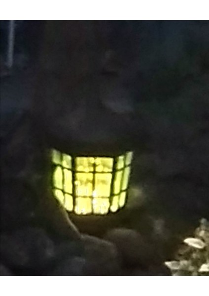 Kaptan Feneri fiyatları