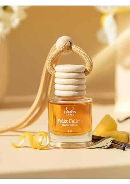 Felix Felicis & Veritaserum Askılı Araç Kokusu 8ml | 2 Li Paket fiyatları