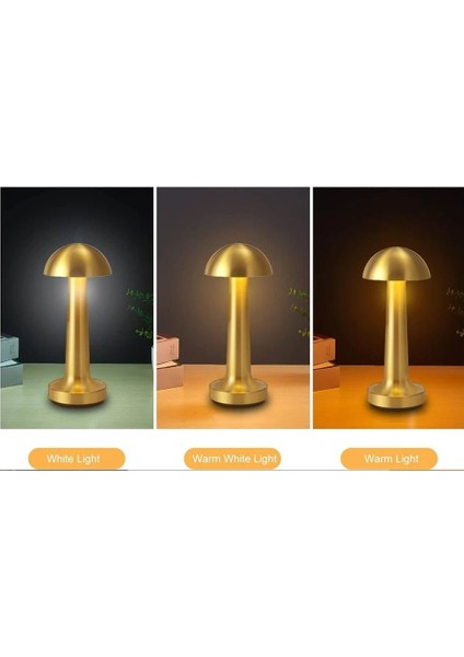 Gold 3 Renkli Şarjlı Dekoratif Masa Lambası modelleri